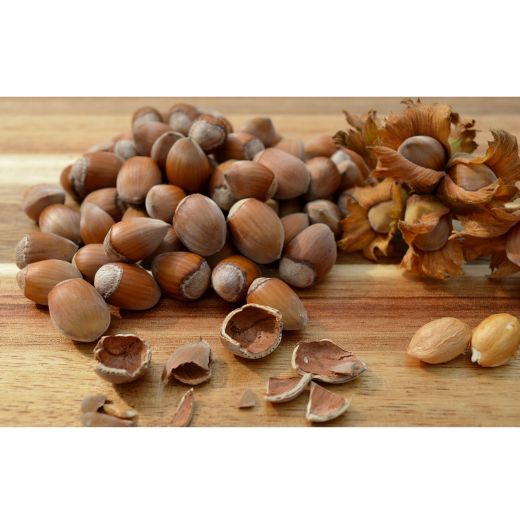 Amazing Benefits Of Eating Hazelnuts