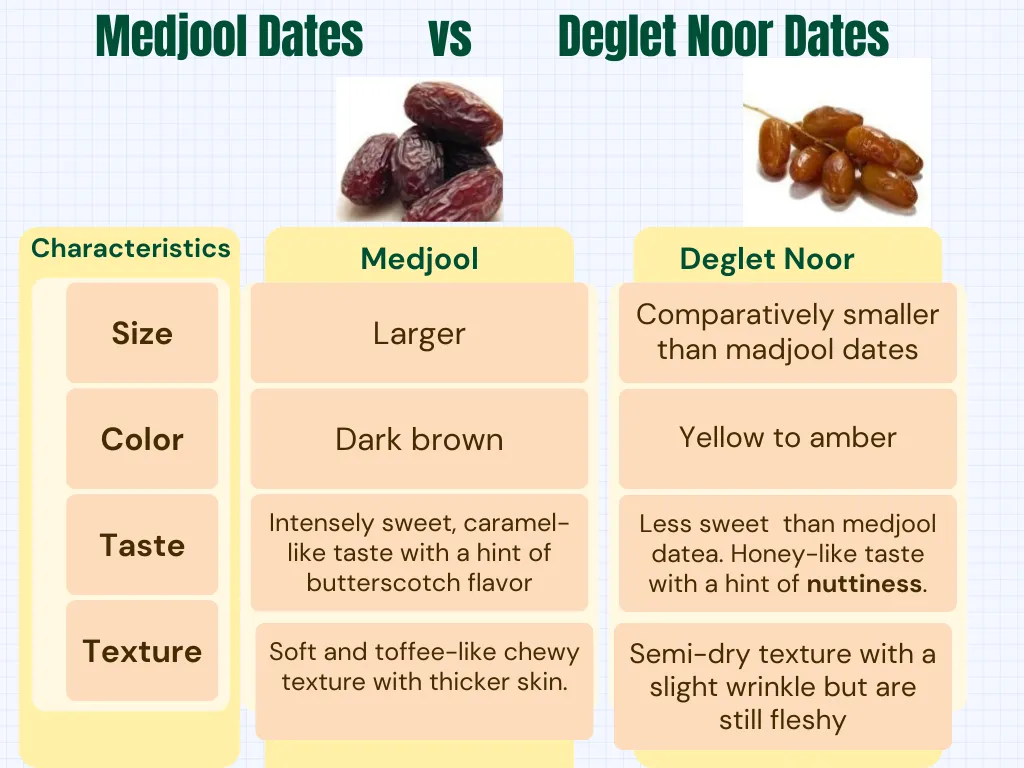 Deglet Noor vs Medjool Dates | Their 7 Key Benefits